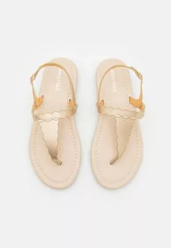 Anna Field Zehentrenner - Gold 13 Anna Field Zehentrenner - Gold -Anna Field Stil Geschaft 67b452555bd349619c0921a57a28a5a0